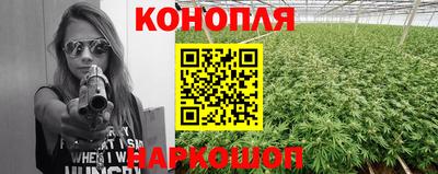 прущие грибы Ирбит