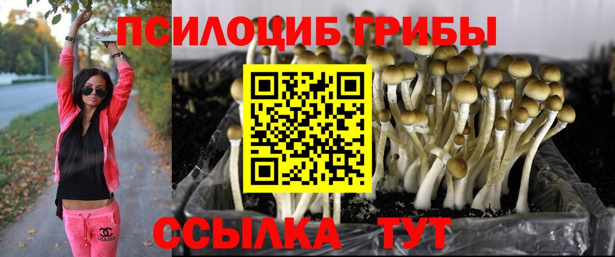 Галлюциногенные грибы Усть-Джегута